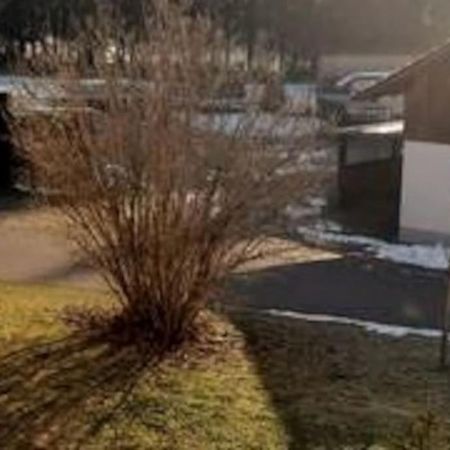 Ferienwohnung Zur Dicken Berta Wolfegg Екстериор снимка